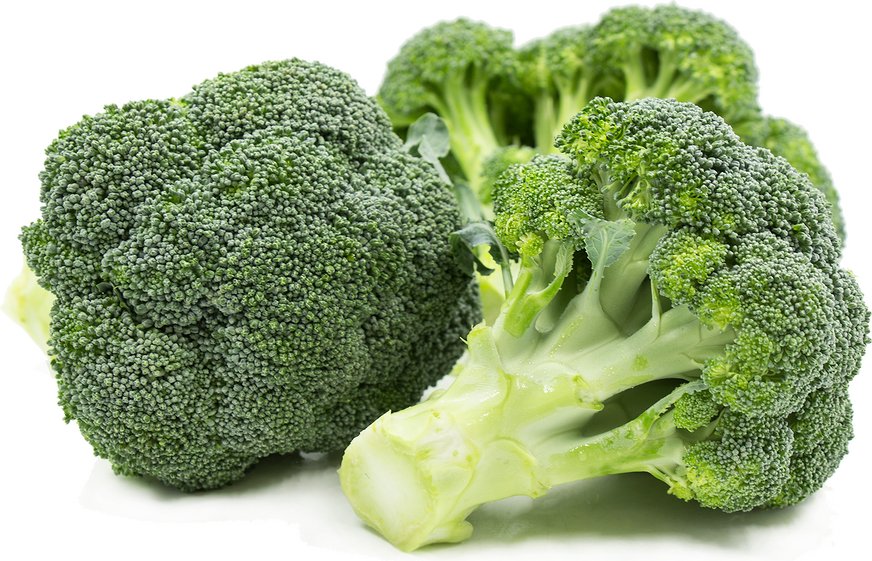 Fresh Broccoli Crowns