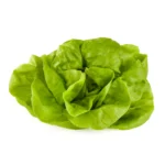 Fresh Butter Lettuce