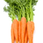 Fresh Carrots (Bunched)