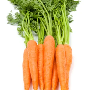 Fresh Carrots (Bunched)