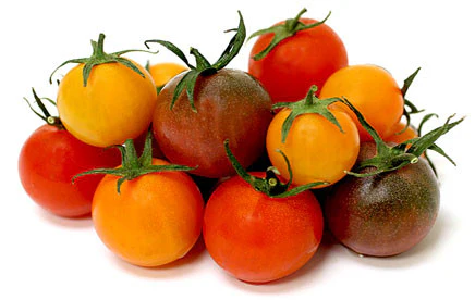 Fresh Mixed Tomatoes