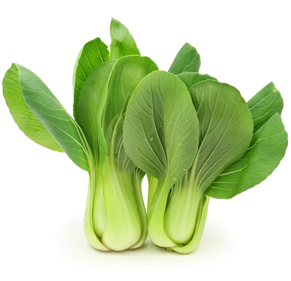 Fresh Shanghai Bok Choy