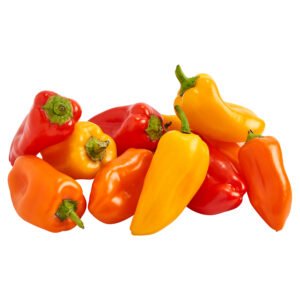 Fresh Mini Sweet Peppers